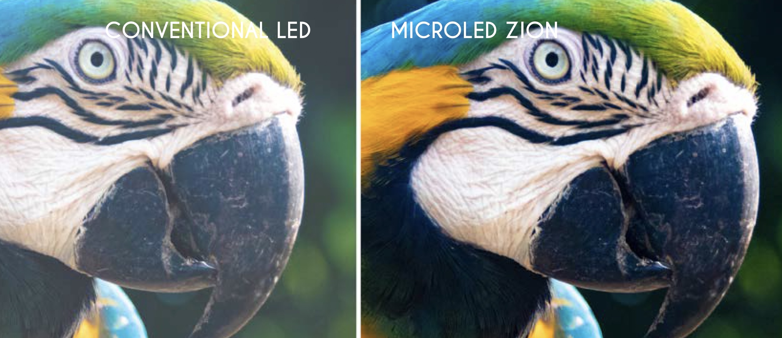 Zion microLED vs gewone LED